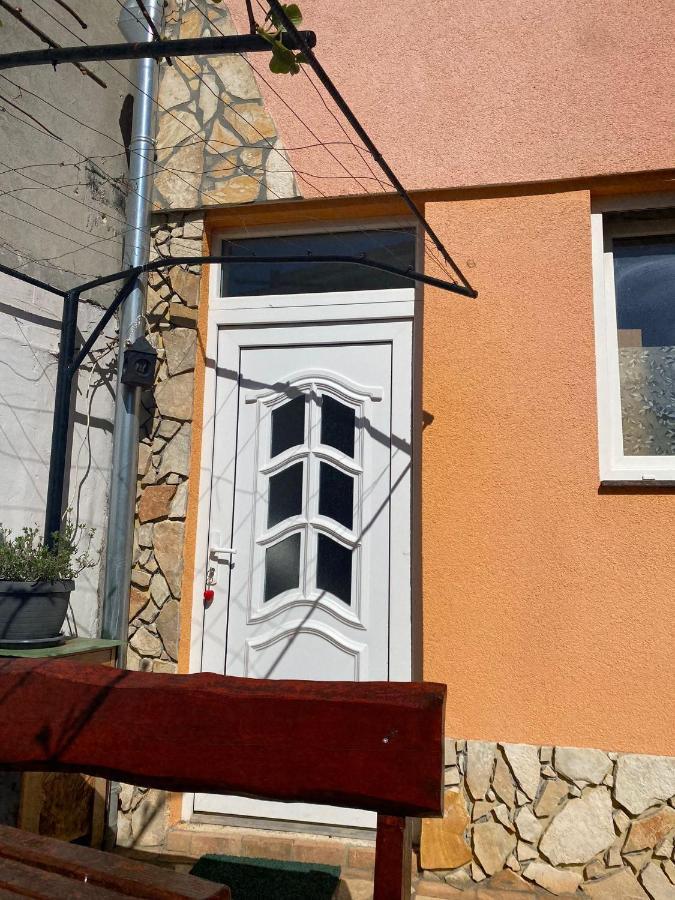 Studio Apartment Elsa Galižana المظهر الخارجي الصورة
